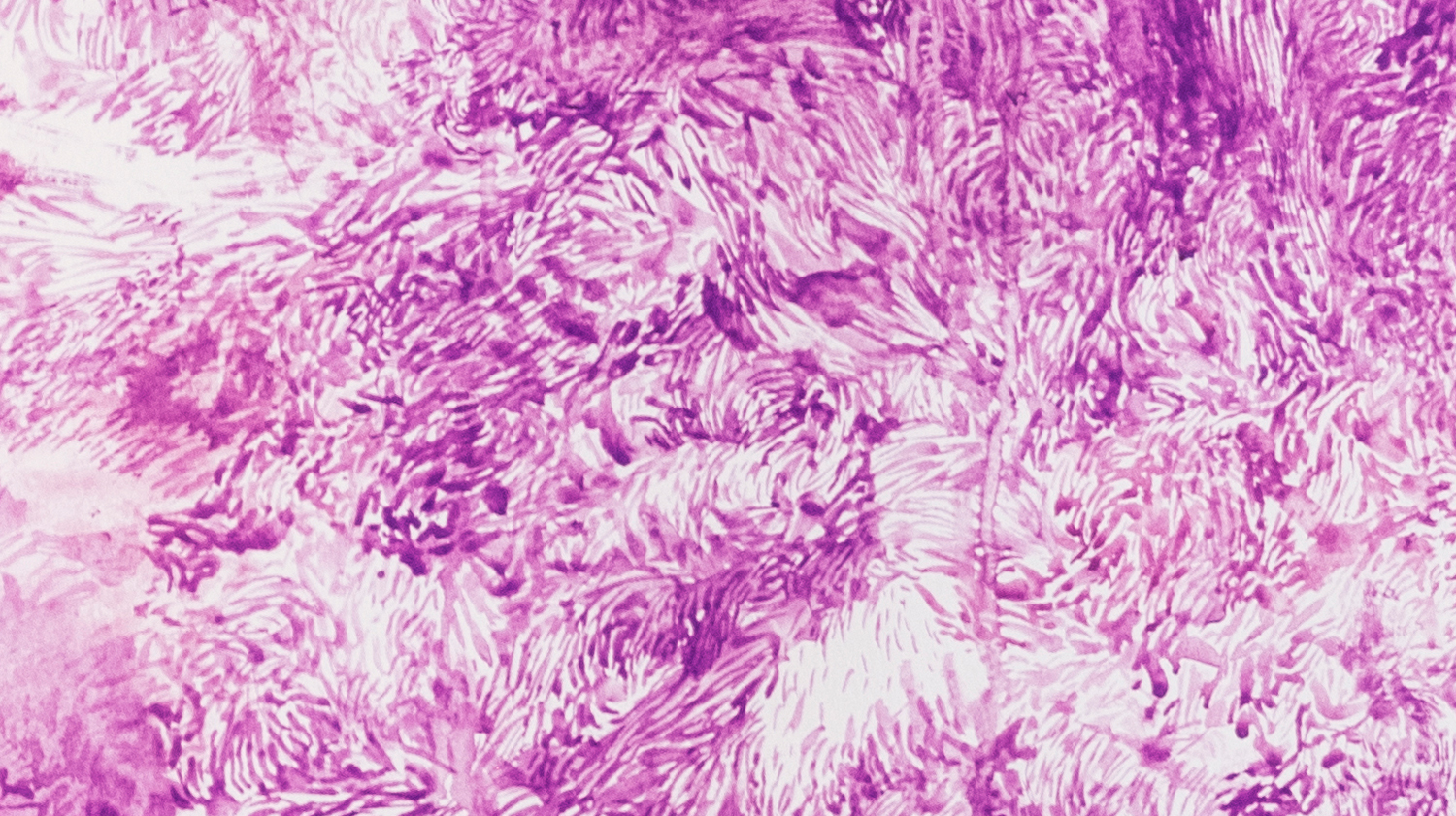 VIOLET_COBALT_DETALLE00