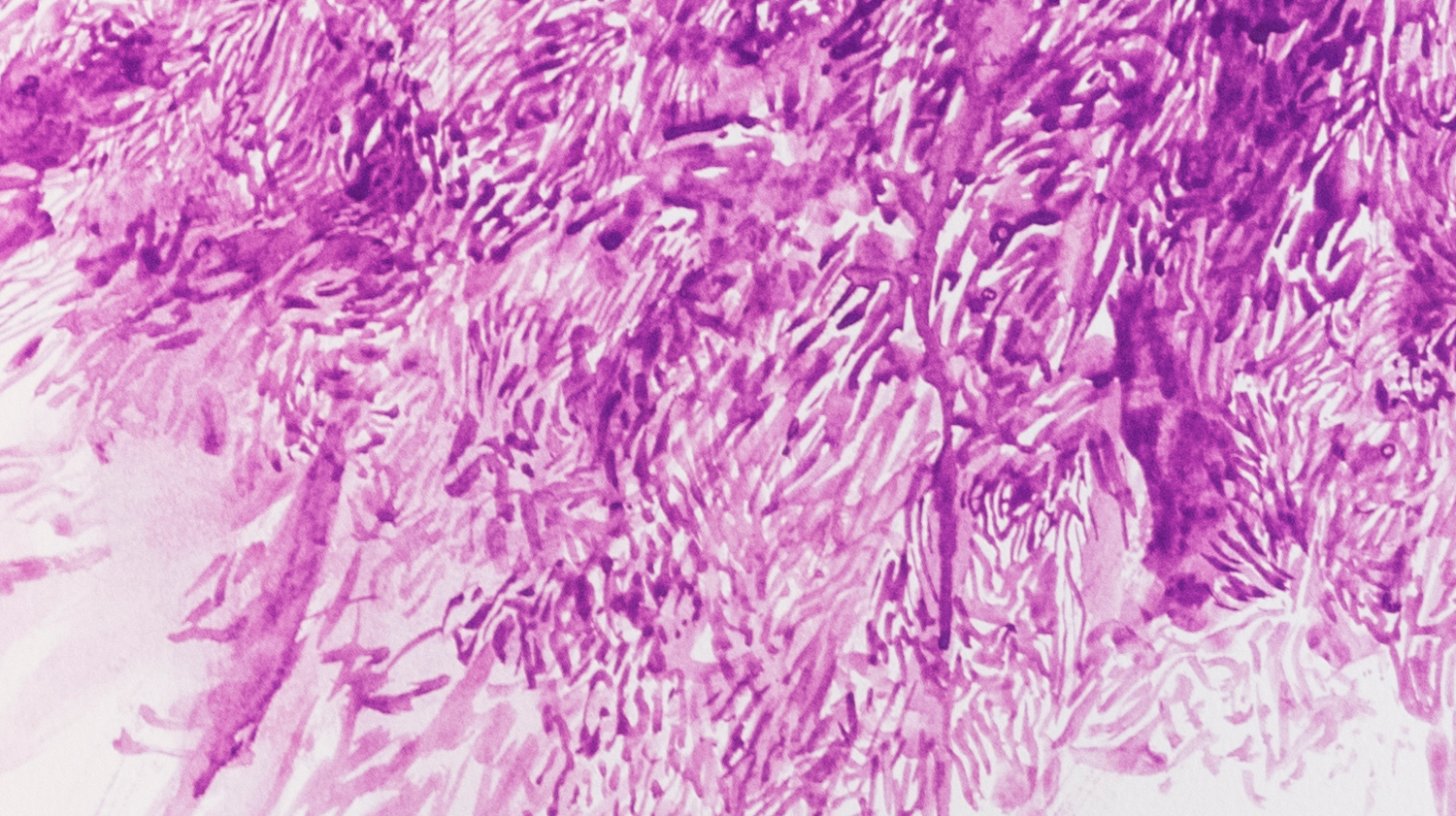 VIOLET_COBALT_DETALLE01