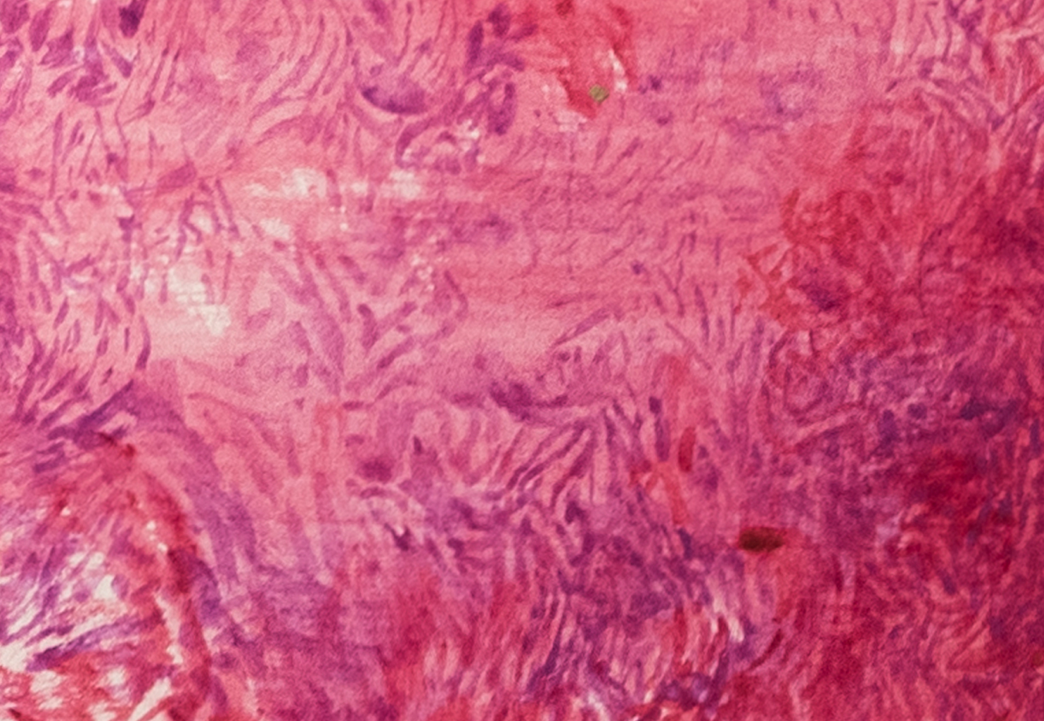 FLUSSE_COBALTVIOLET_MAGENTAQUINACRIDONA