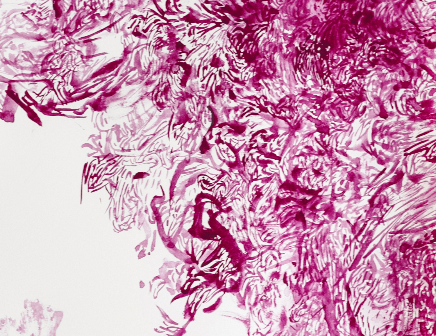 TANGLED HIERARCHY PERMANENT_MAGENTA_DETALLE00