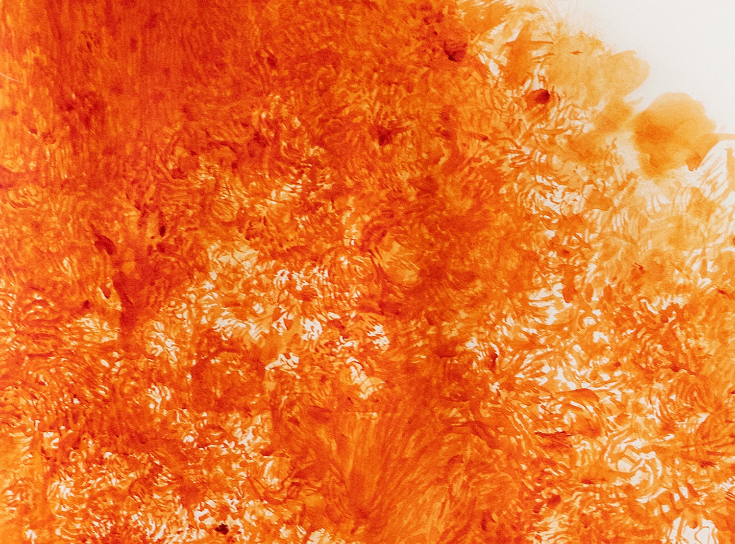 PYRROL-ORANGE_DETALLE02