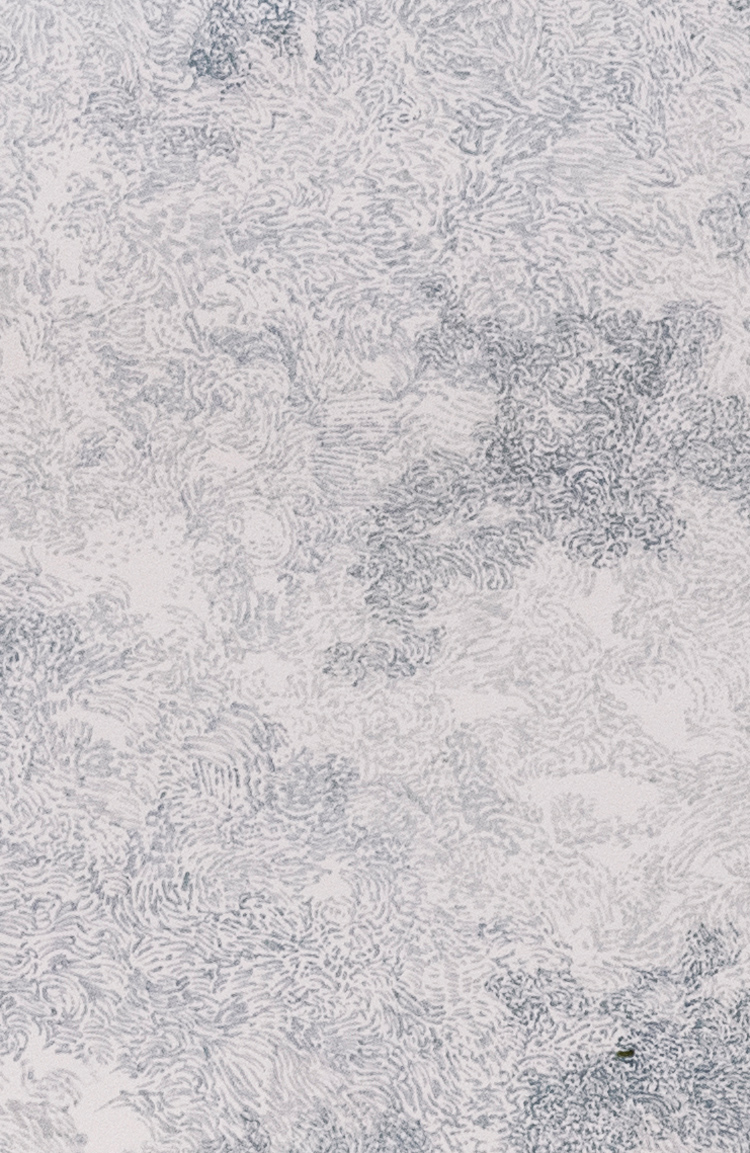 RASTROS_COOLGREY DETALLE